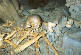 Restos humanos cueva de Arintero